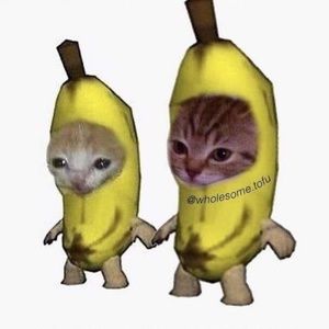 Meet your Posher, Chastity